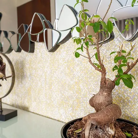 Apartamento Alohouse