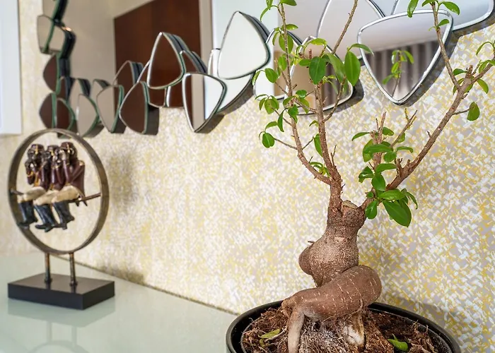 Apartamento Alohouse